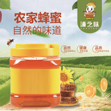纯天然农家 土蜂蜜500g 瓶装
